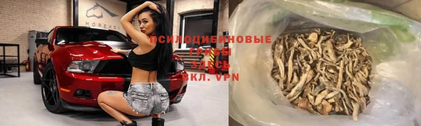 ГАЛЛЮЦИНОГЕННЫЕ ГРИБЫ Осинники