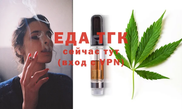 ГАЛЛЮЦИНОГЕННЫЕ ГРИБЫ Осинники