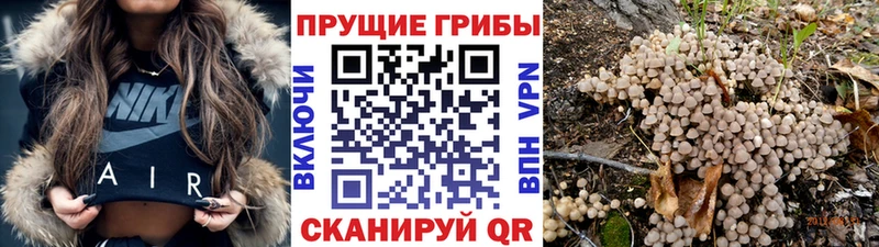 Псилоцибиновые грибы ЛСД Полярный