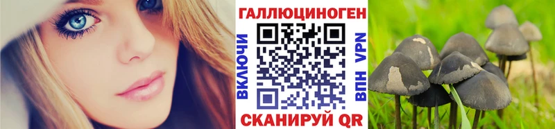 Галлюциногенные грибы Psilocybe  Полярный 